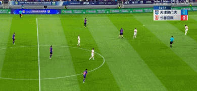 �����Ż����������򱻰�ƽ ���˵������ܽ�