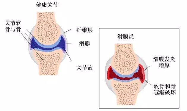 https://r.sinaimg.cn/large/article/88925f86468ad7d13e0db993af3893bb