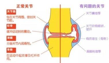 https://r.sinaimg.cn/large/article/5fa6e5da241ad47e2d5f3189920c0fcd