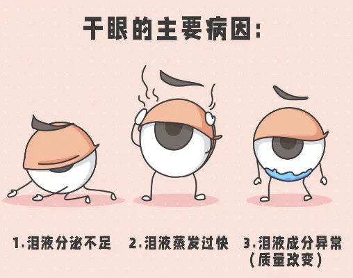 建议大家:饮食起居要有规律;劳逸结合,保证睡眠质量;注意用眼卫生;用