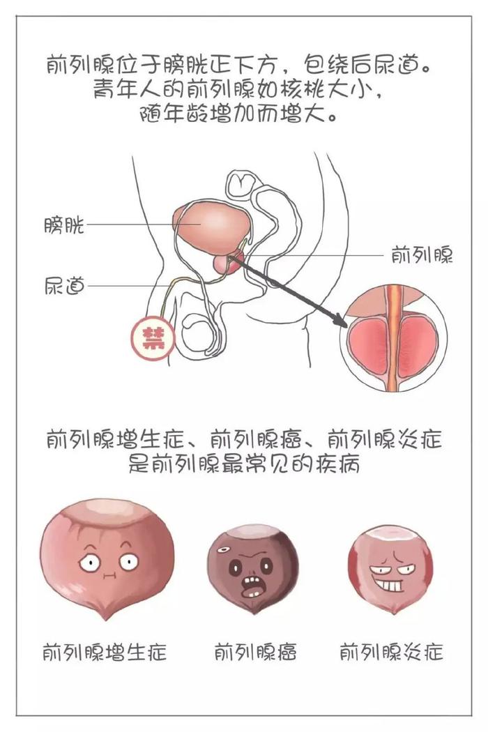 微信图片_20240818145526.jpg