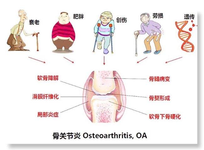 https://r.sinaimg.cn/large/article/4080407a89f03f10f3f6c1d467ea97a4