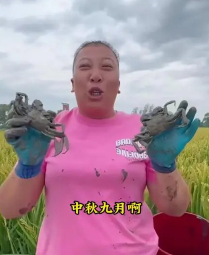  9月4日，“东北雨姐”发布盘锦螃蟹丰收的视频，引发争议。图片来源/网络