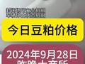 2024年9月28日豆粕报价，昨晚大商所豆粕强力反弹，今日贸易商试探性报价上调