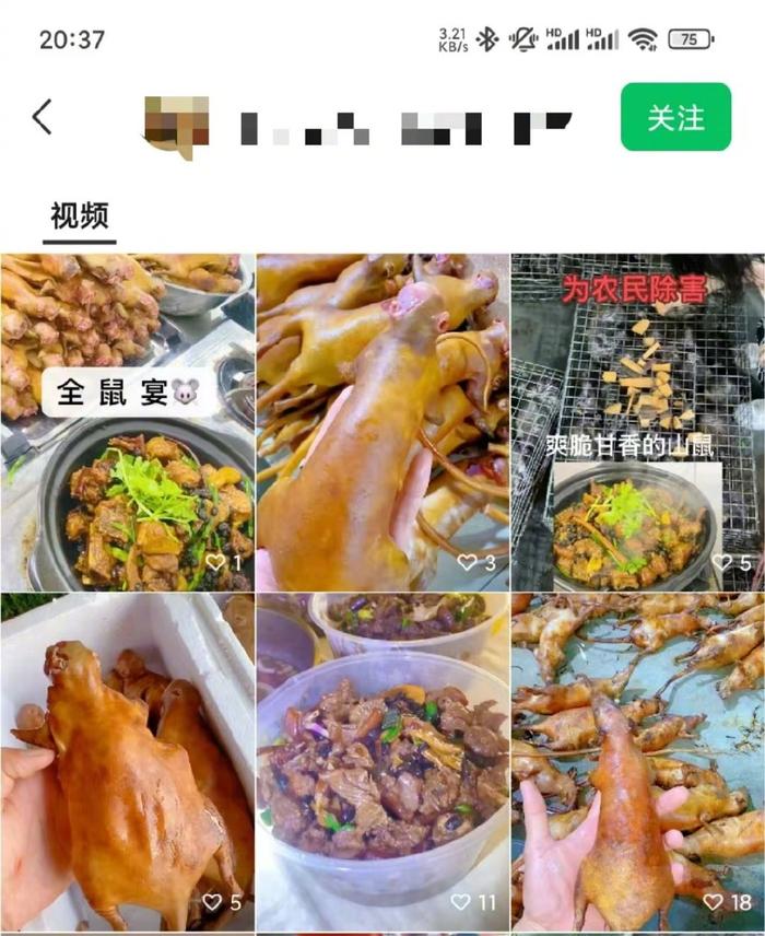 某农家乐展示老鼠肉制作的菜肴。网络图