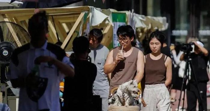 刘汶蓉等：当新青年“整顿”婚恋市场