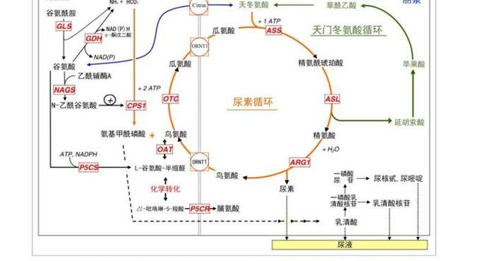 十年前两个孩子因相同症状告别了世界！十年后，她在新华赢得“生”机