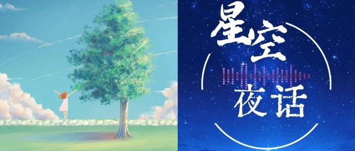 星空夜话｜被无条件爱过的人，都自带光芒