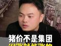 猪价不是集团说涨就能涨的！