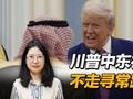 在中东谈生意或只是表象，特朗普下的是两手棋