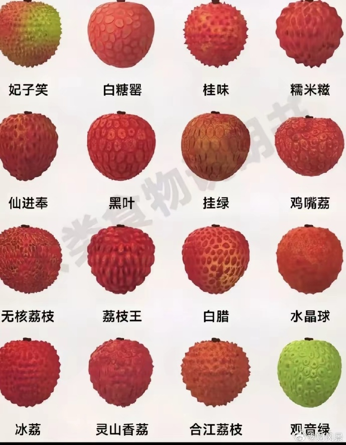 荔枝都有哪些品种,哪种最好吃?_新浪新闻