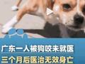 被狗咬未就医3个月后发病去世 广东疾控发文称狂犬病病死率接近100%