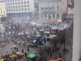 布鲁塞尔爆发大规模抗议：抗议者驾拖拉机冲击欧盟总部 投掷鸡蛋粪便