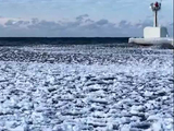 航拍密歇根湖罕见“冰浪”：冰片圆如荷叶漂浮 随水浪翻涌