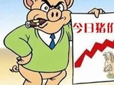 2025年12月24日国内生猪价格一览