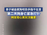 河南一男子被自家小狗咬伤手指，当天未在意，次日小狗突然死亡