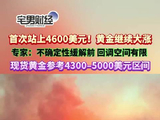 国际金价首次站上4600美元！专家：不确定性缓解前回调空间有限｜宅男财经