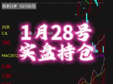 2026年1月28日黄金白银碳酸锂棉花期权持仓