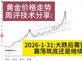 2026-1-31黄金价格走势周评技术分享：暴跌过后是筑底反弹还是继续回调？？