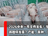 2026中央一号文件发布！生猪产业将如何发展？