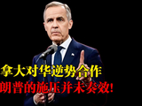 加拿大对华逆势合作，特朗普的施压并未奏效！