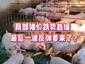 猪价跌势趋缓，局部或现短暂反弹，最后一波反弹要来了？
