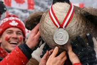 牛弹琴：伤害性不大，侮辱性极强