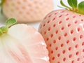 白草莓的真相：自然变异还是转基因？