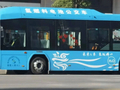 氢能公交大面积停运，重庆废止产业政策：氢能还没起来就要退潮？