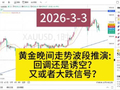 2026-3-3黄金晚间走势波段推演：大跌信号还是回调？