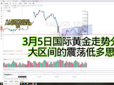 3月5日国际黄金走势分析：大区间的震荡低多思路