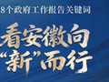 8个政府工作报告关键词 看安徽向“新”而行