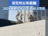 视频 | 2024年职工平均工资48.5万元，深交所薪酬公布!