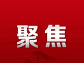 【安徽经济新春面面观】企业活力映射产业“新景”