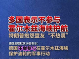 多国表示不参与霍尔木兹海峡护航，特朗普抱怨盟友“不热衷”