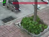 坐轮椅老人被搀扶着偷走店家盆栽，店主称不可思议：都这样了还拿别人东西