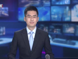 记者观察：从“种下绿”到“长出福” 十四年见证生态蝶变