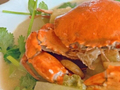 够鲜甜！江门限定美食上线！清明踏青，一起寻味江门……