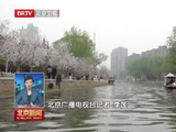 京津冀全民赏花季启幕 北小河水岸樱花醒春开航