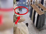 狗闯入服装店追咬男孩，致其腿部被抓伤，孩子母亲驱赶狗时手臂也被抓伤