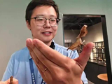 视频｜南中轴首座博物馆亮相 北京市自然昆虫博物馆开馆