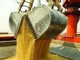 豆粕行情急转直下：饲企减配、养殖亏损，拐点何时现？