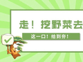 把春天“吃进肚里”！安徽人春天必吃的9种野菜，你尝过几种？