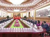 习近平同越共中央总书记、国家主席苏林举行会谈