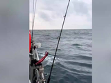 男子在海上漂流一小时被钓友救起，知情人：上厕所被浪掀进海里，获救是真“命好”