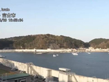 日本突发7.5级地震：海边摄像头剧烈晃动鸟群惊飞 海啸预计浪高3米