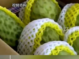台农产品销往大陆受限缺口填不上