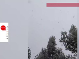 谷雨变“冬雨”！黑龙江一秒返冬，积雪15公分厚