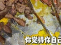 严查！“外卖爆单”的网红店，后厨居然这样→