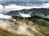 刘宇宁新歌MV致敬平凡生活